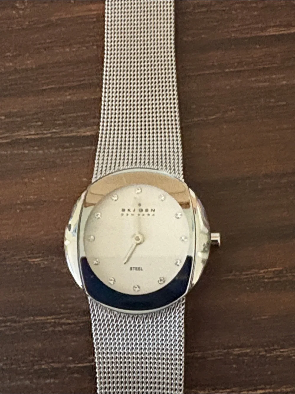 Skagen Stainless Steel Mesh Bracelet Watch